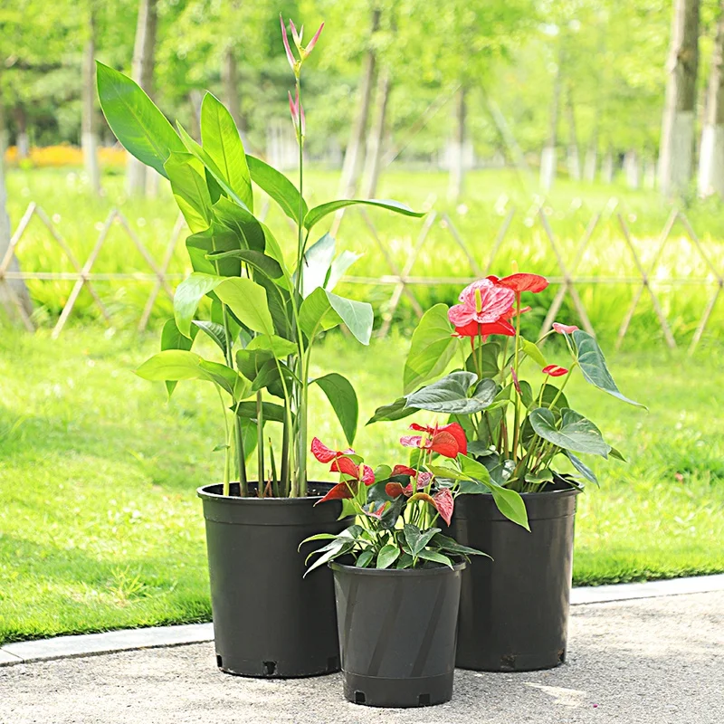 8 inch small cheap plastic flower pots big size cell nersery pot seeding tray garden starter