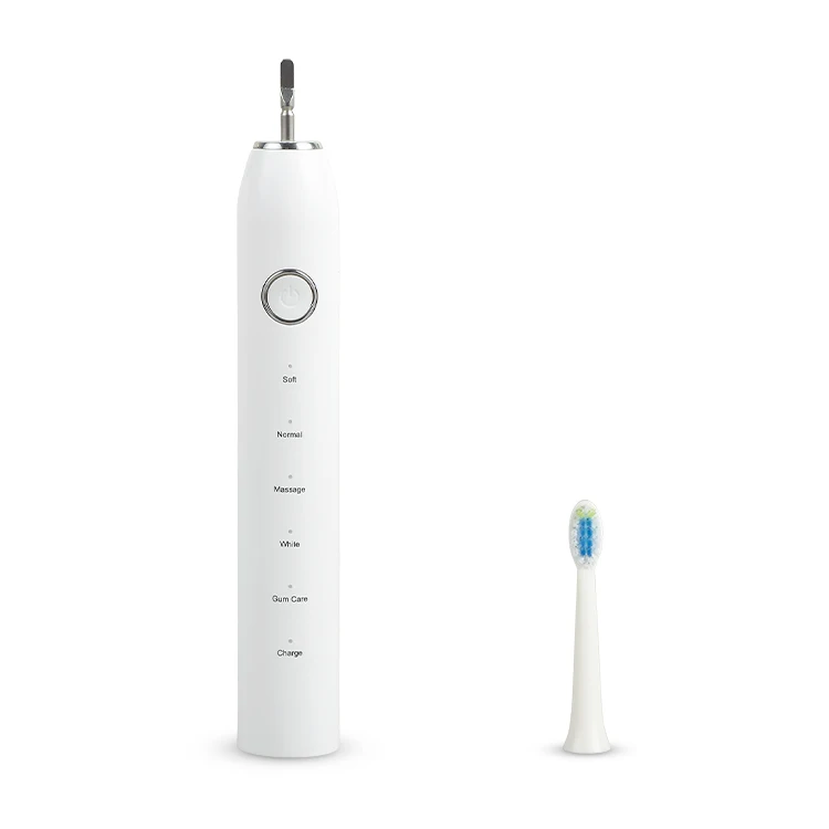 
Boxed novelty signal display usb rechargeable electric toothbrush 