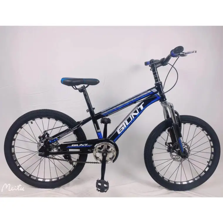 2024 New Model 20-Inch Single Speed Mountain Bike Steel Fork Disc Brake & Ordinary Pedal 20*2.4 Tire Mountain Bikes Bicycle