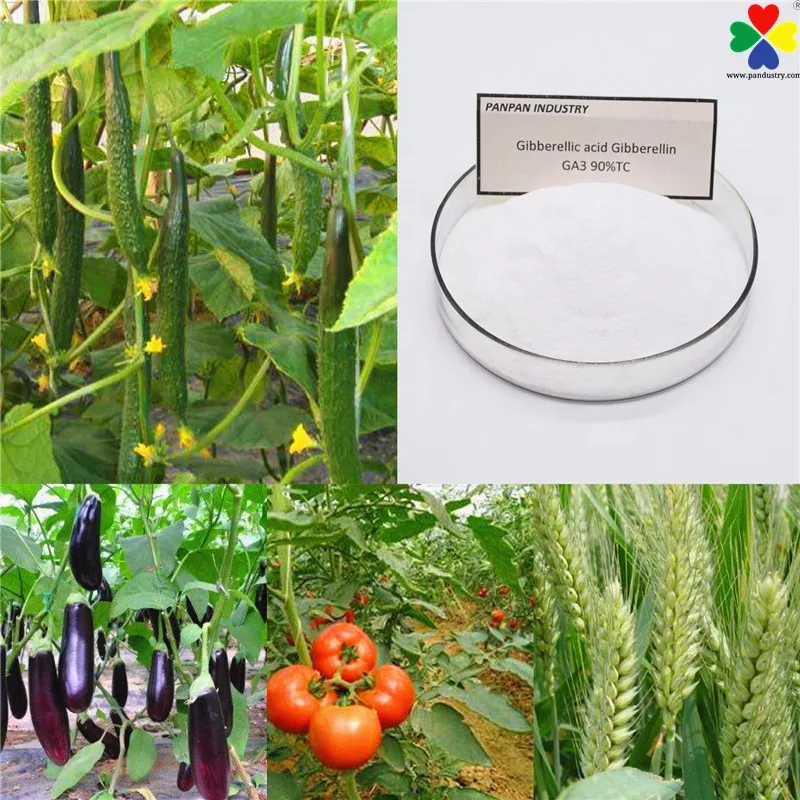 Gibberellic Acid  GA3 Gibberellin 20% Water Soluble Powder in Agriculture