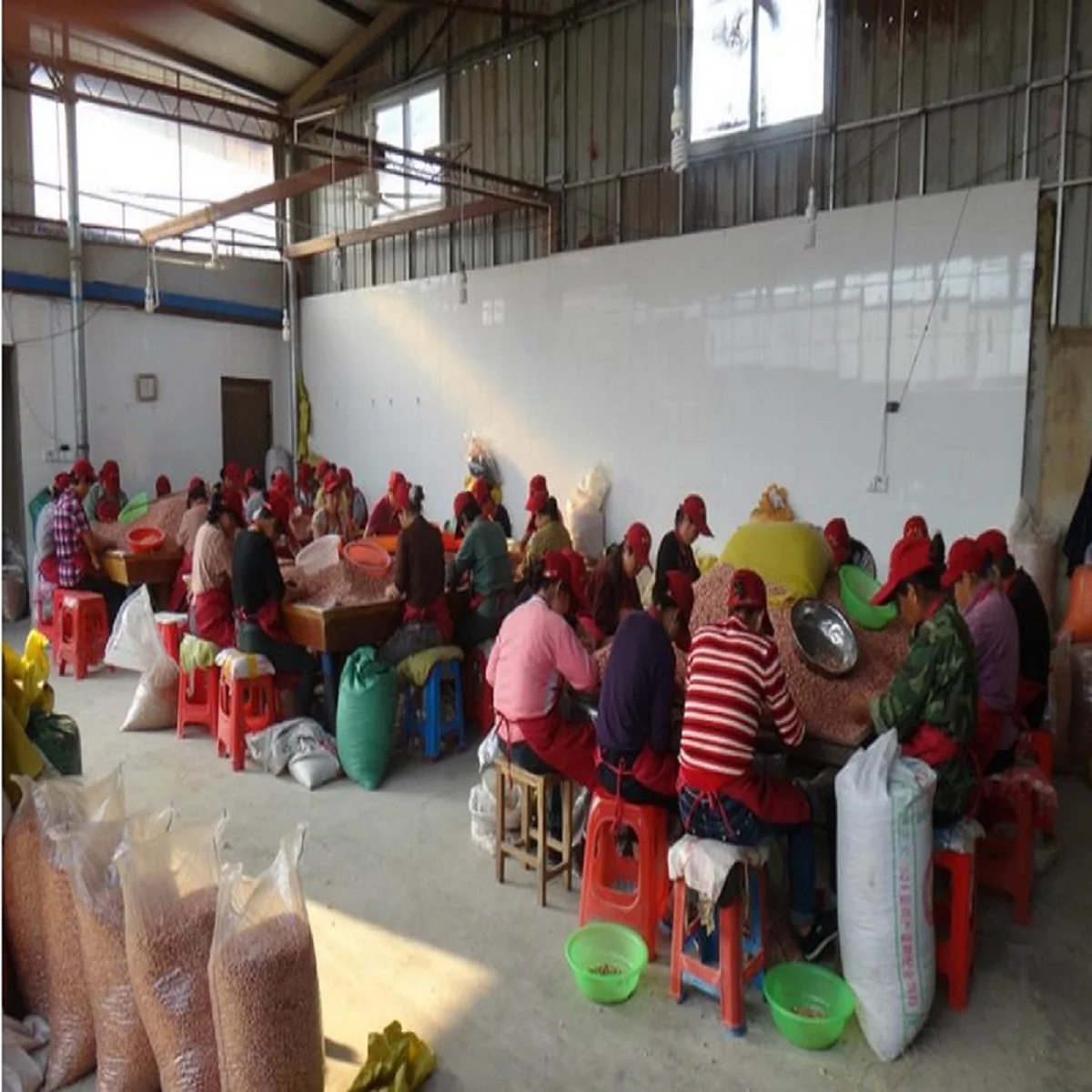 High Quality Roasted and Salted Red Skin Peanut Kernels Sudan Peanuts Raw Processed and Dried Style Peanut Vacuum