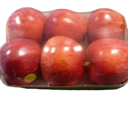 Factory price Plastic Electronic Tray PET Lamination Film Rigid White APET Sheet Roll