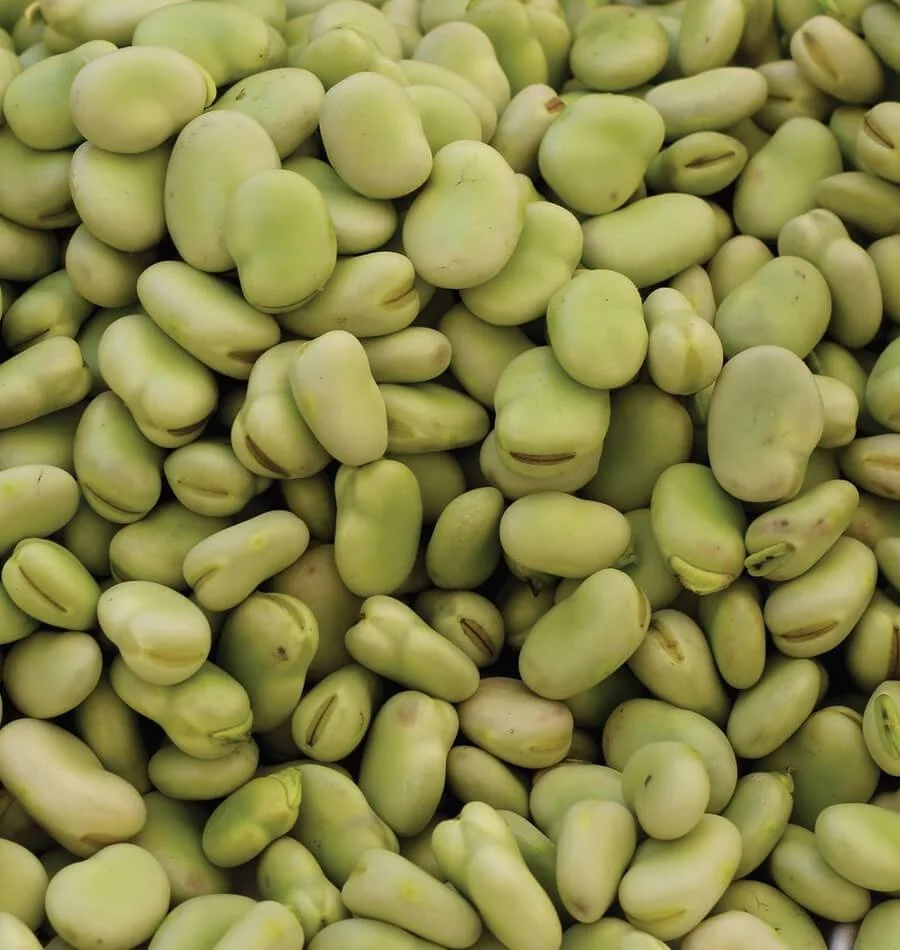
Lima Beans WKB Crop 2019 Bags White Style Packaging Color Weight Shelf Origin Type Life Dried Product Place Model 