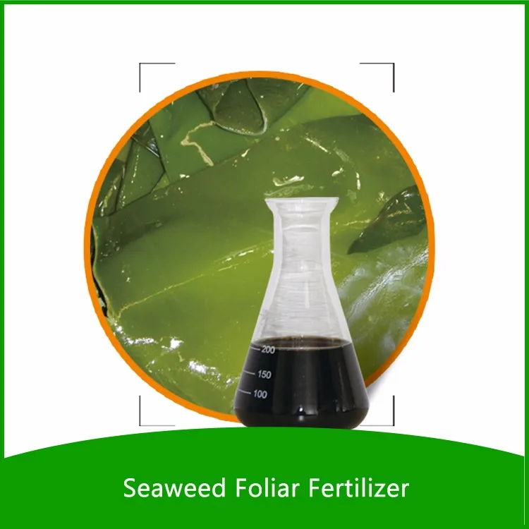Jiate Liquid Seaweed Concentrate for Plants Fertilizer for All Indoor and Outdoor Plants