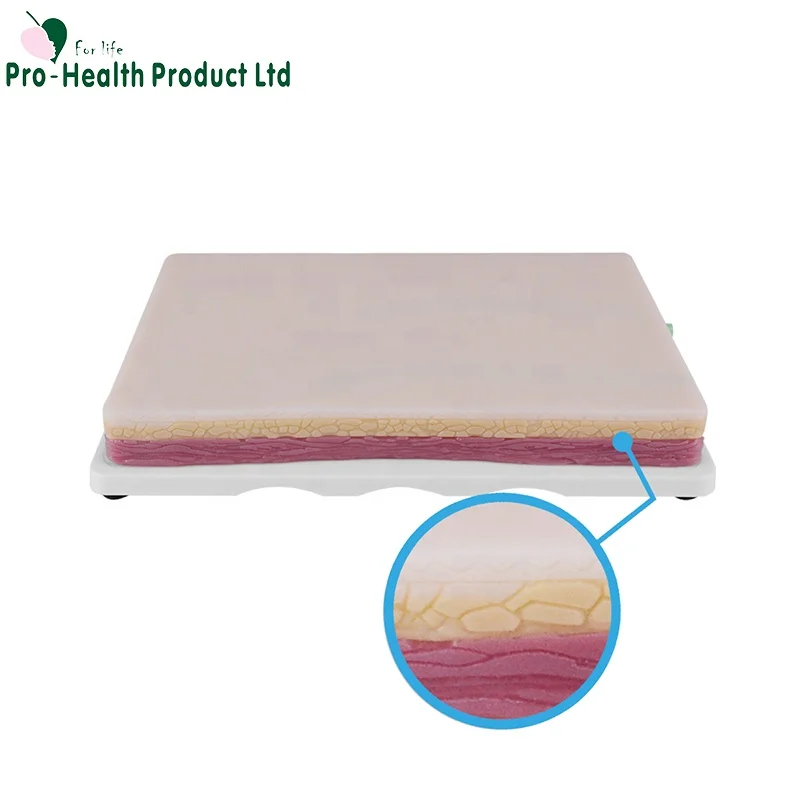 3 Skin Layer IV Injection Phlebotomy Venipuncture Practice Pad Model for Medical Students Doctors Nurses