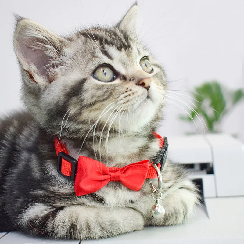 Wholesale Nylon Safety Breakaway Quick Release Bowtie Cat Kitten Collar With Bell