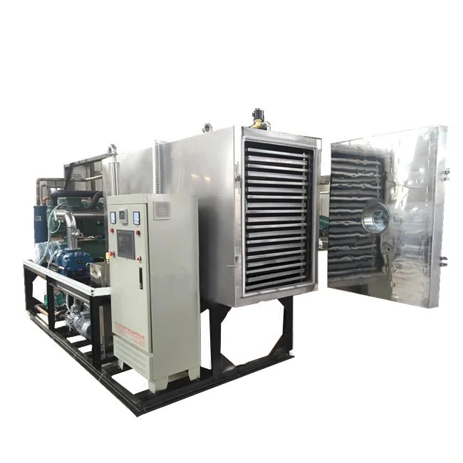 Commercial large capacity of mango freeze dryer litchi fruit lyophilizer longan vacuum dryer