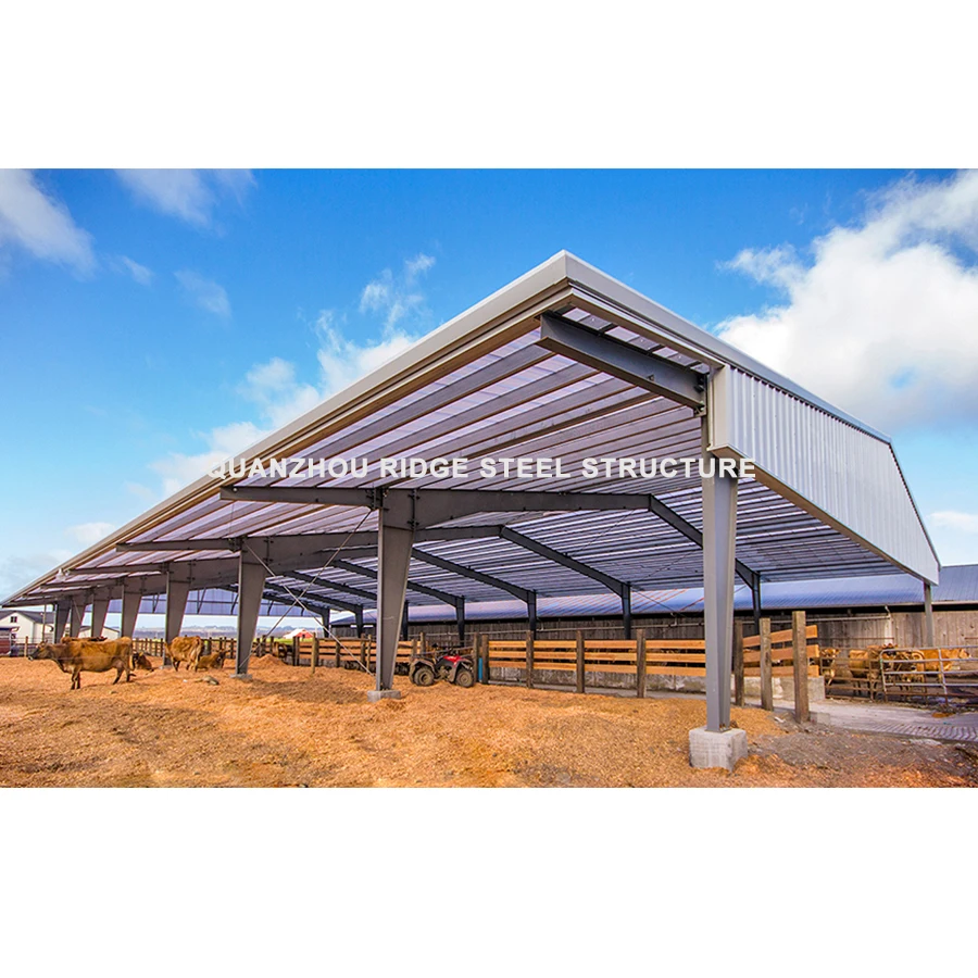 Steel Structure Metal Frame Prefab Hangar Shed Workshop Warehouse Building