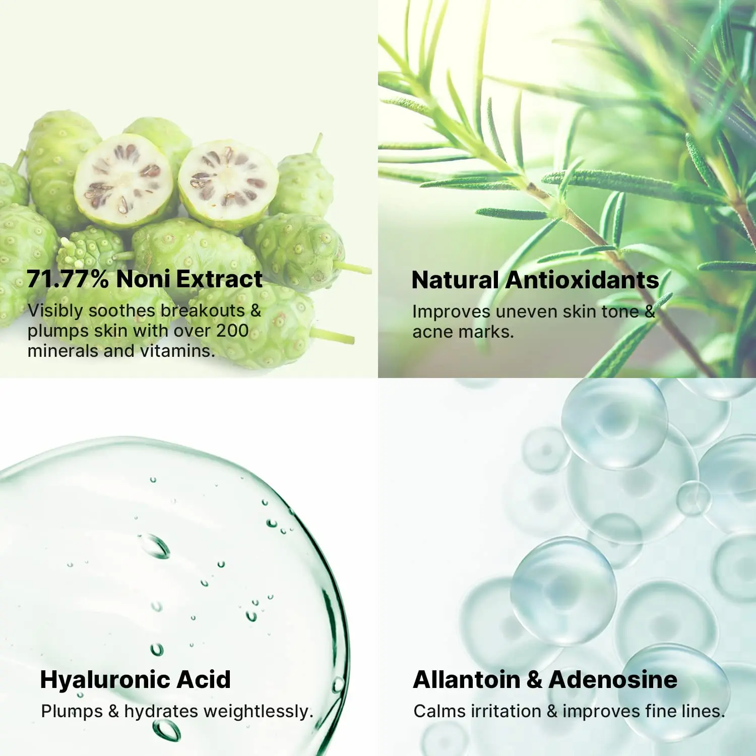 Korean Skin Care Products Noni Serum Niacinamide Hydrating Facial Serum For Fine Lines Wrinkles