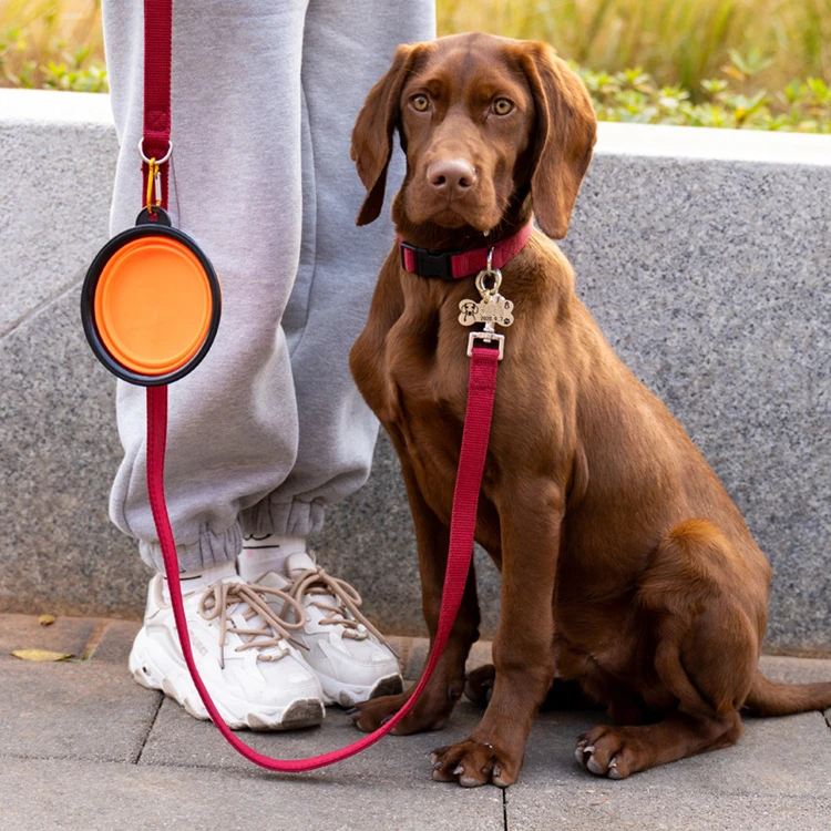 2022 Hot Sale Collapsible Portable Dog Water Bowl Foldable Storage Silicone Indoor Outdoor Dog Travel Bowl