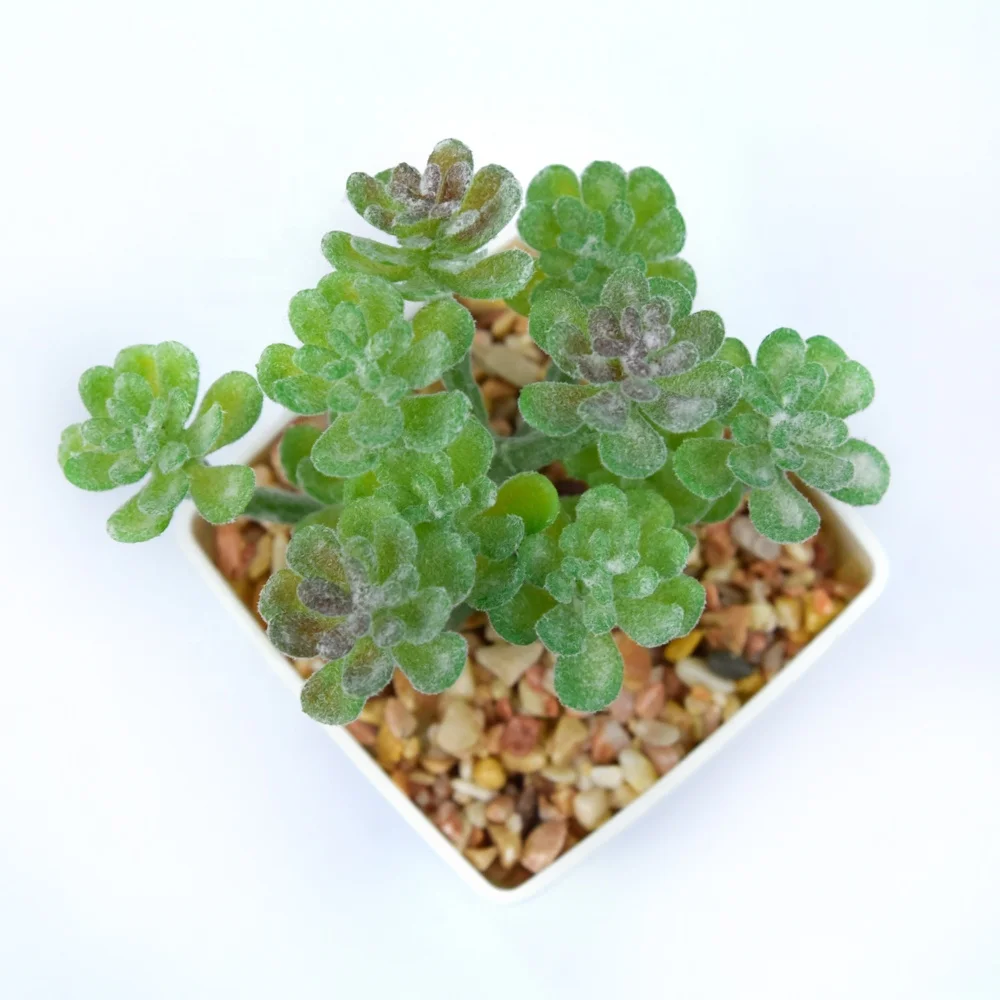 Succulents Home Decoration Square Pot Faux Plastic in Pot for Desktop Hotel Office Lifelike Succulent Plants in White Customized