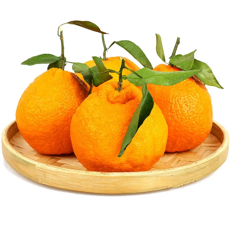 
Sweet and Juicy Fresh Oranges Naval Orange 
