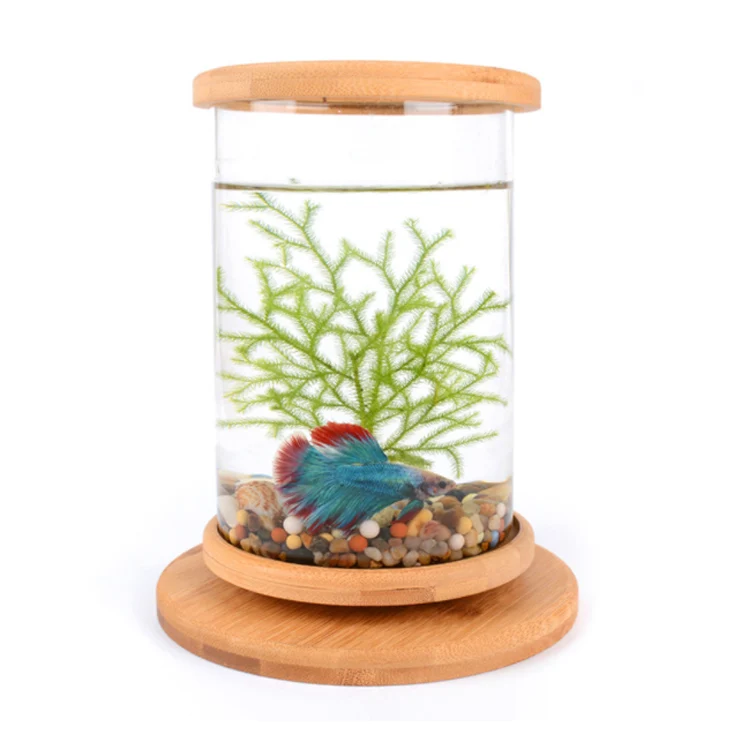 Усиленный аквариум Micro View поворотный для спальни Mini Betta прозрачная стеклянная