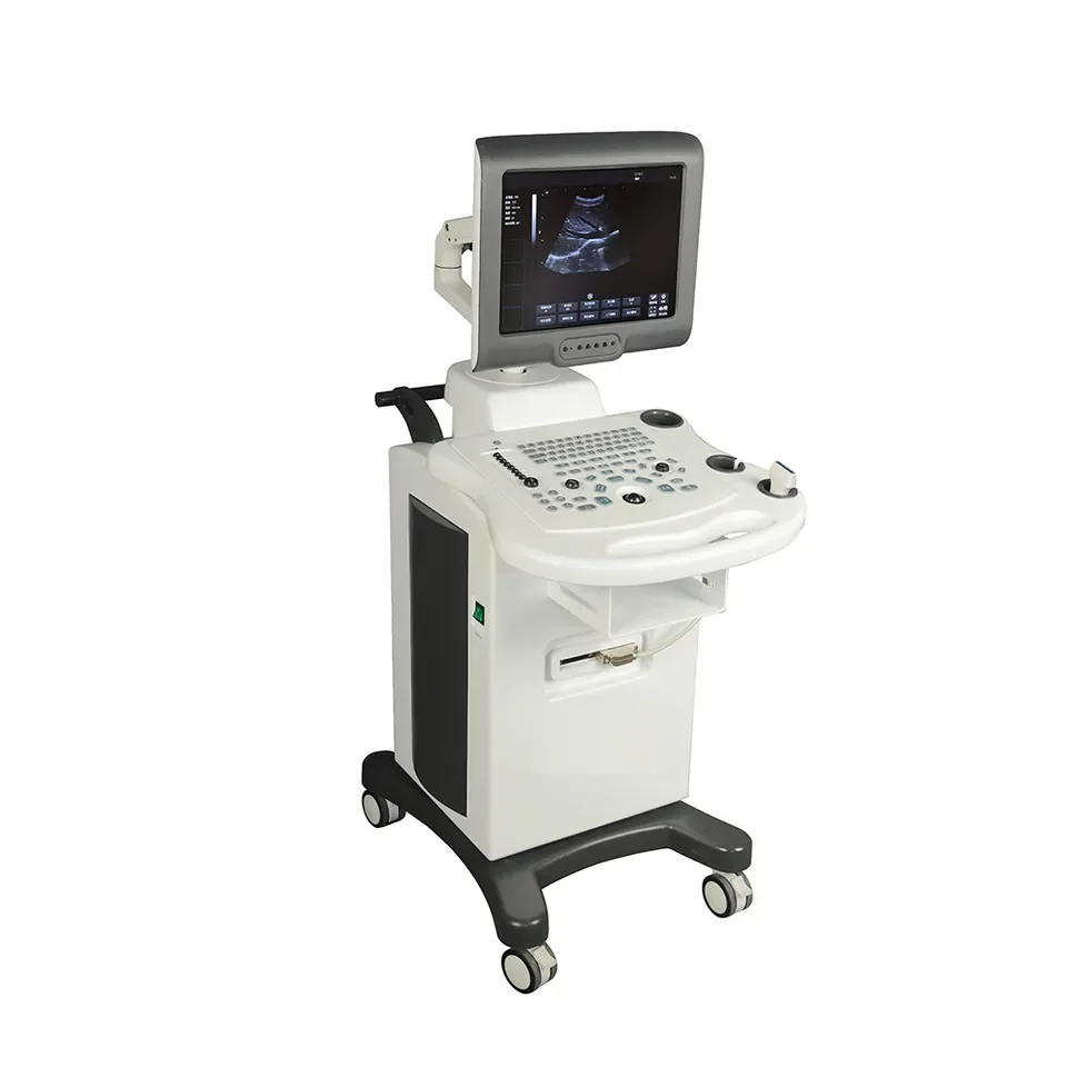 15 inch handcart type color Doppler ultrasound diagnostic system customized high quality fully digital ultrasonic machine
