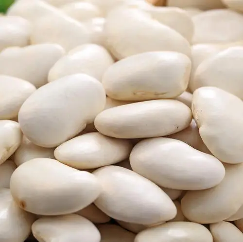 White Kidney Beans price