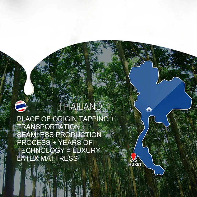 Ergonomic Design Home Natural Latex Mattress Furniture Latex Mattress