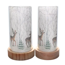 Wholesale Glass Bottle With Light Led Luminous Fairy Christmas Lights Bottle For Home Decor