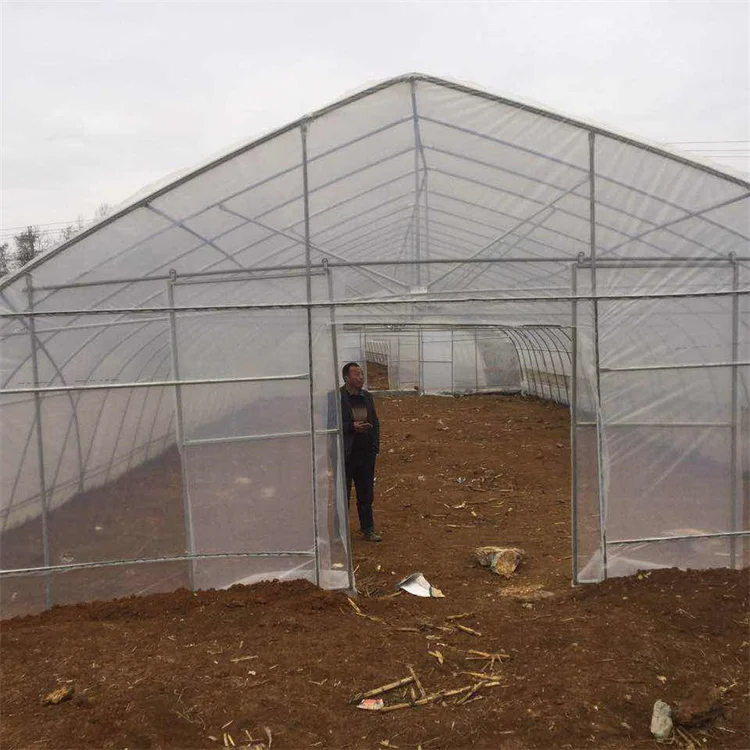 Excellent strength Low cost single-span green house plastic cover PEP greenhouse