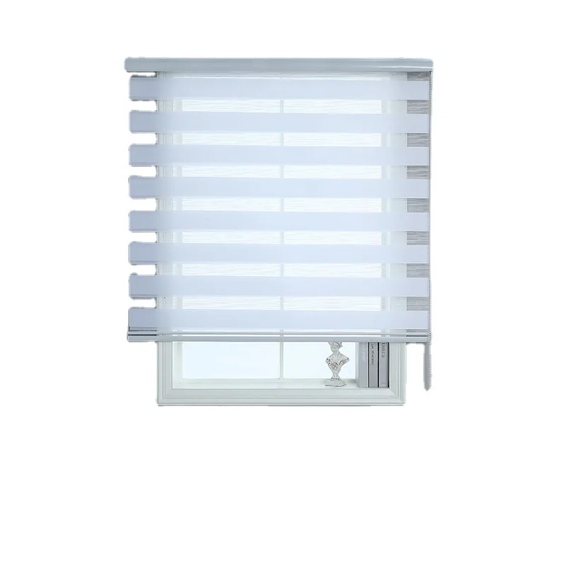 Blinds for Window Dual Layer Roller Zebra Sheer Shades Light Filtering Window Treatments Privacy Zebra Blinds for Day and  night