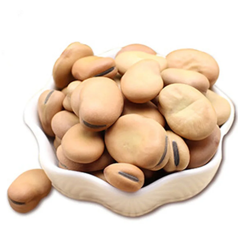high quality bulk canned dry broad beans price made in china