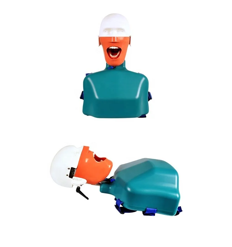 Dental Equipment Lab Educational Supplies Dummy Manikin Phantom Head with Typodont teeth model for Practice