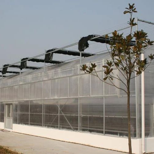 Good Price Agricultural Polycarbonate Plastic Board PC Sheet Greenhouse with Customized Hydroponic Design