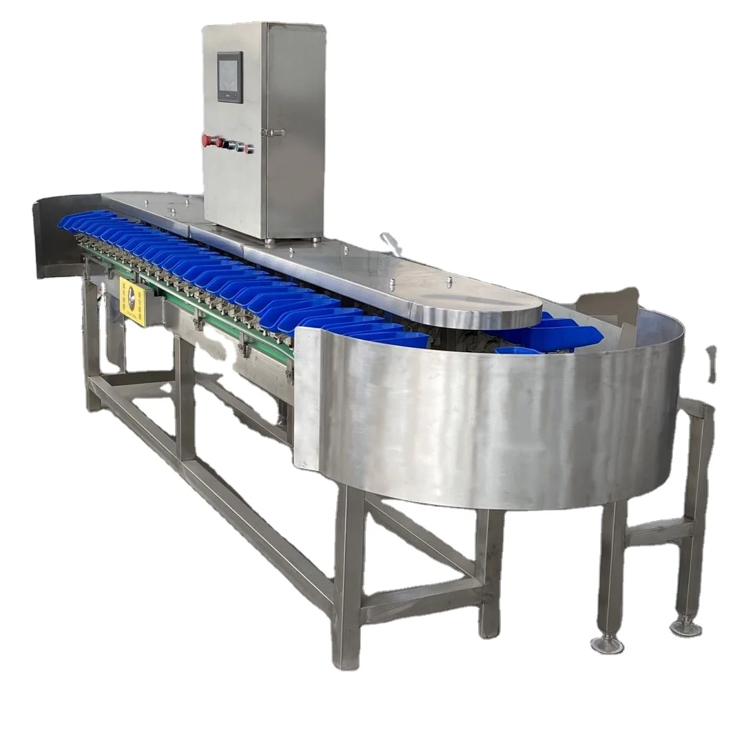 Chicken Wings Weight Dividing Machine Conveyor Fish Fruit Weight Sorting Machine
