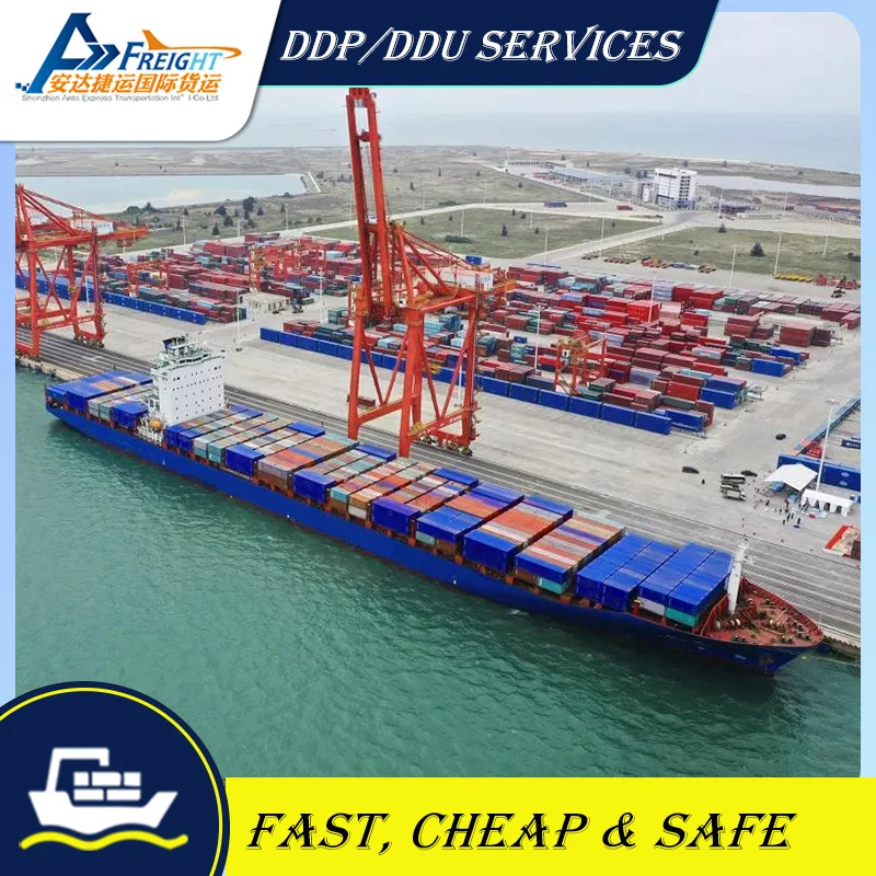 DDP выделенный канал для Японии по воздуху и морским перевозкам с двухсторонним клиентом