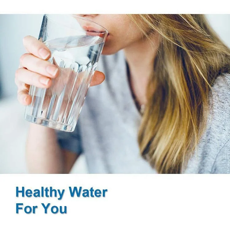 Frigidaire ULTRAWF PureSource Ultra Water and Ice Refrigerator Filter