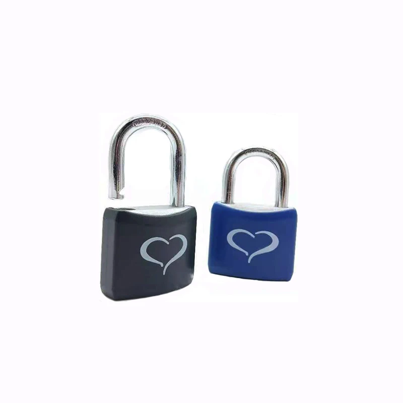 Free Sample Cheap and Popular Security Lock And Key Special Design Padlock World Brand Aluminum Padlocks