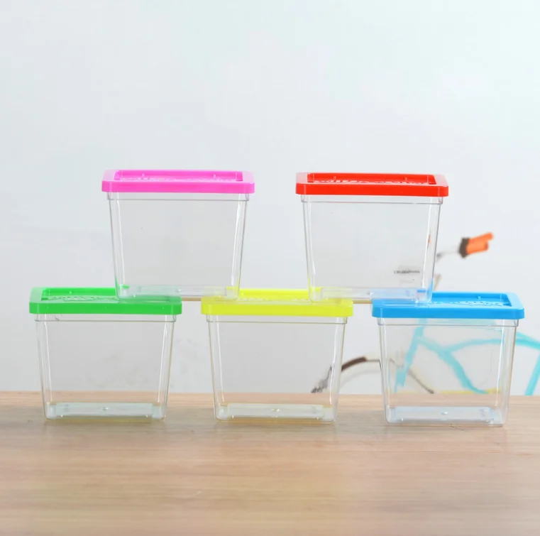 Transparent Mini goldfish tank small size resin Aquarium plastic insect box