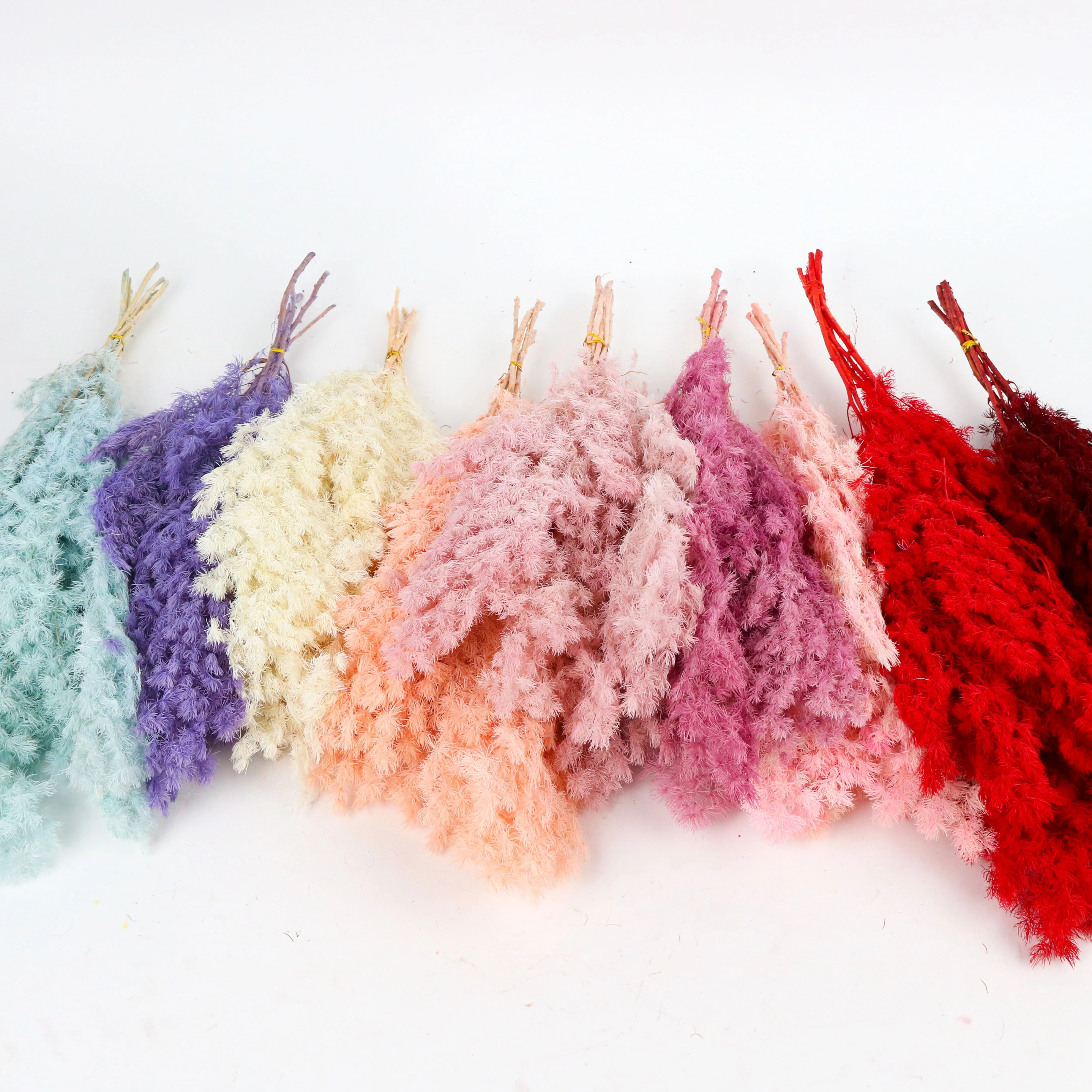 Hot Selling High Quality Flower Bouquet Gift Preserved Flower Ming Fern for Home Decor