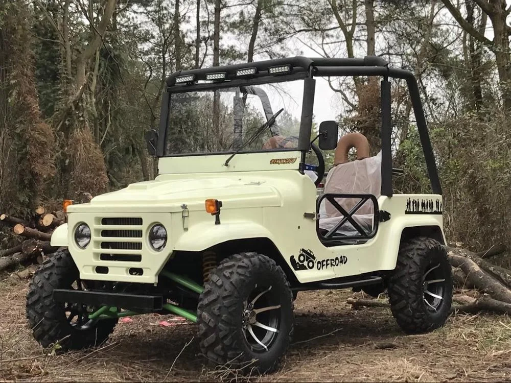 
Hot Sell 4 Seats Electric Jeep 3000W UTV Buggy For Adult 