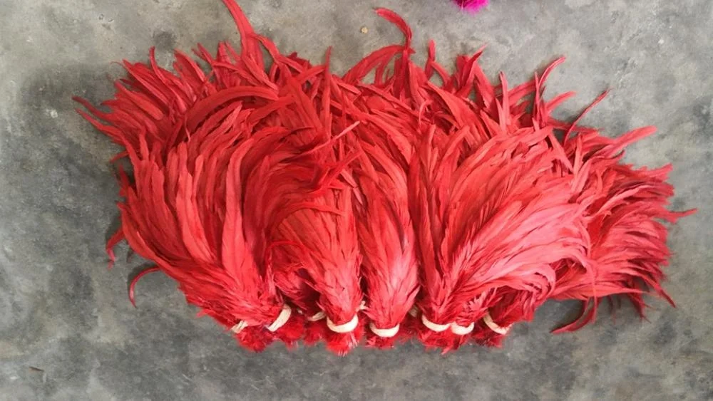 14-16 inch ( 35-40 cm) Rooster Feather for sale