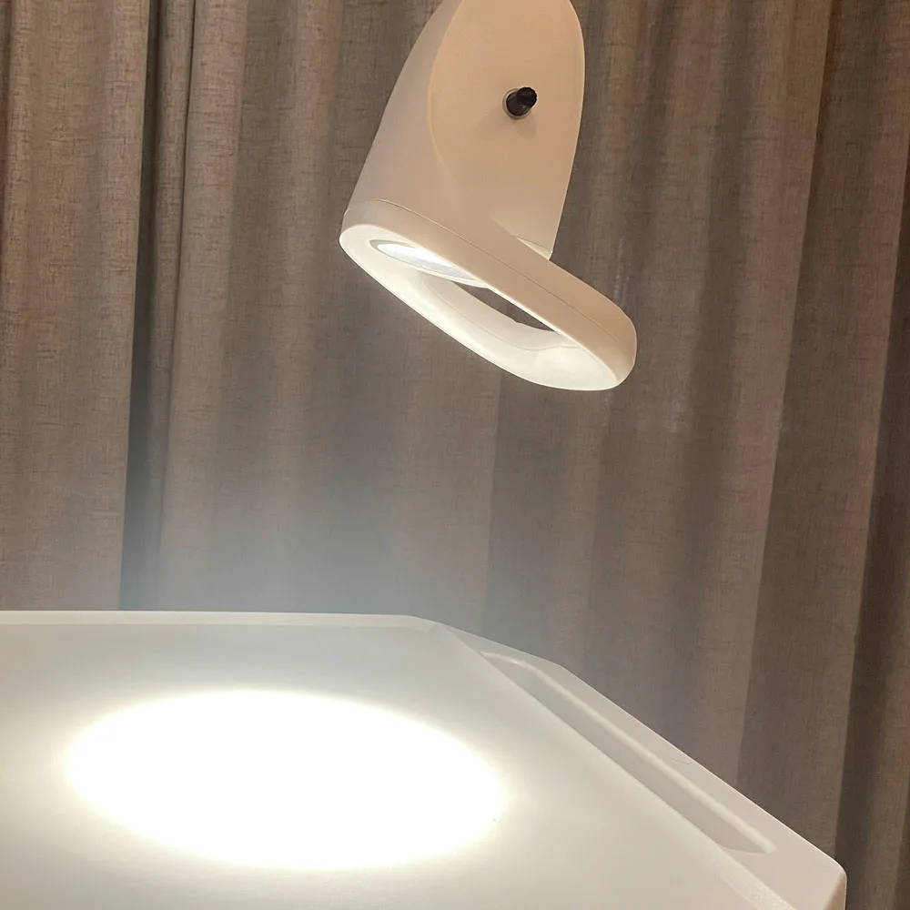 LIZE PET Wall Mounted LED Medical Examination Light Lamp Hospital Cosmetology and Pet Diagnostic Examination Lamp