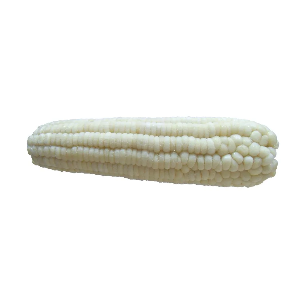 Wholesale Frozen Sweet Waxy Corn On The Cob