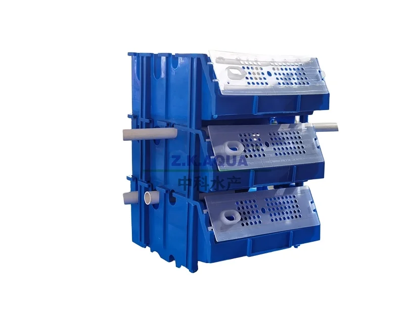 Aquaculture  recirculating   RAS system for crab farming high quality equipment for sale