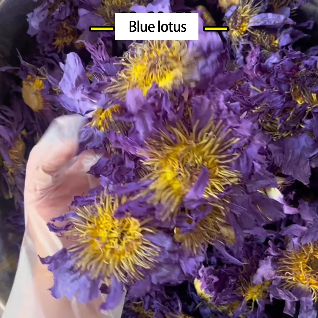 Factory Price Blue Lotus Flower Tea Oem Nymphaea Coerulea Customizable Natural Dried Whole Blue Lotus Blooming Flower Tea