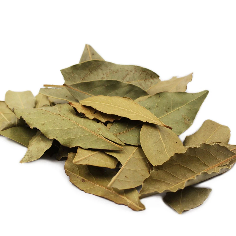 Wholesale Dried Laurel Leaves Single Herbs and Spices Dried Bay leaves