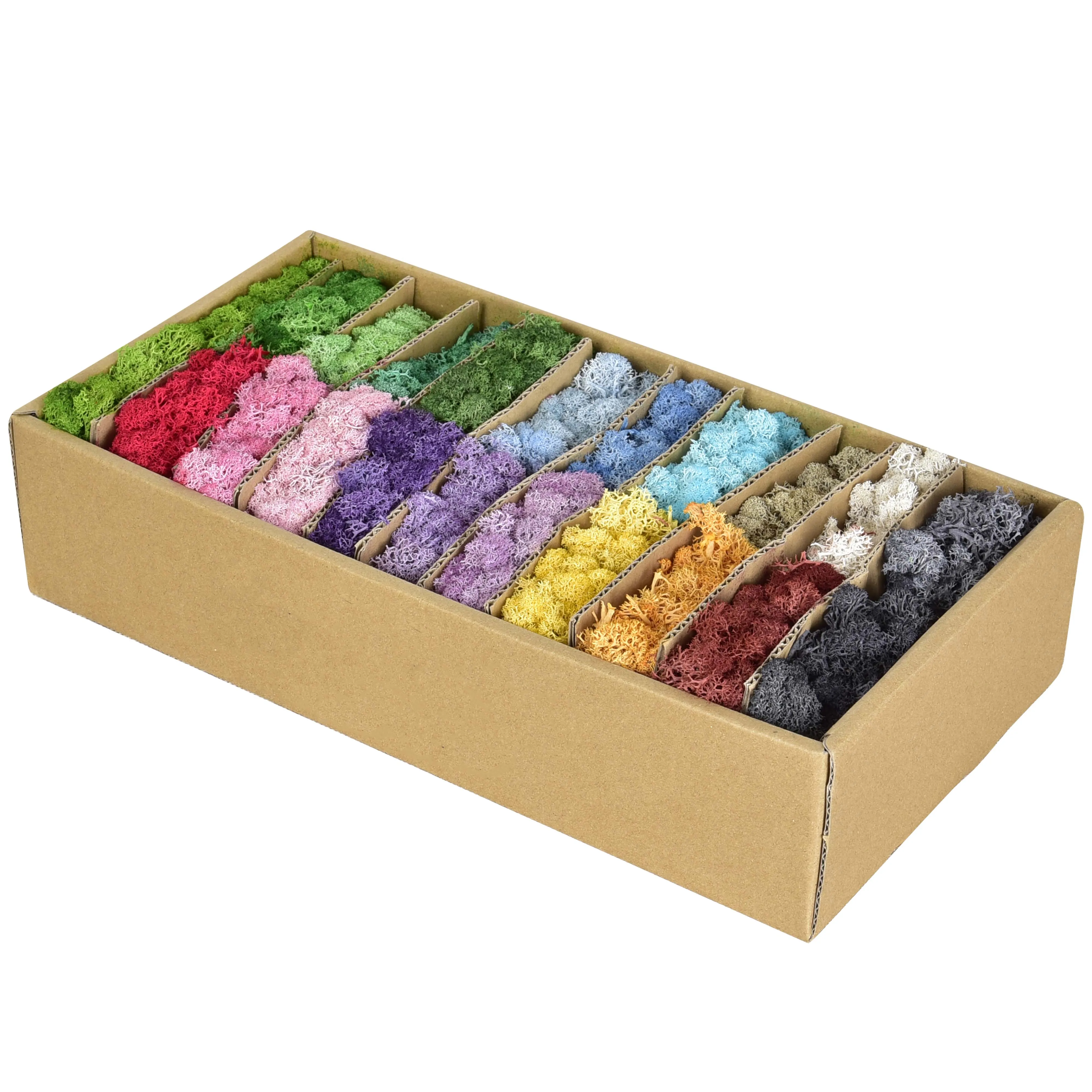 Wholesale High Quality Grade A Reindeer Moss 500g Stabilized Preserved Moss For Moss Wall Decoration