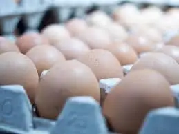 Pulp egg carton quail egg with lid Biodegradable recyclable 60 cells 120 cells can be customized PLA Plant Base Corn Starch