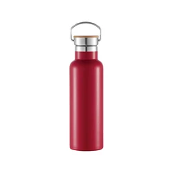Customized logo stainless steel vacuum insulated wide mouth custom gym water bottle thermal flask with handle