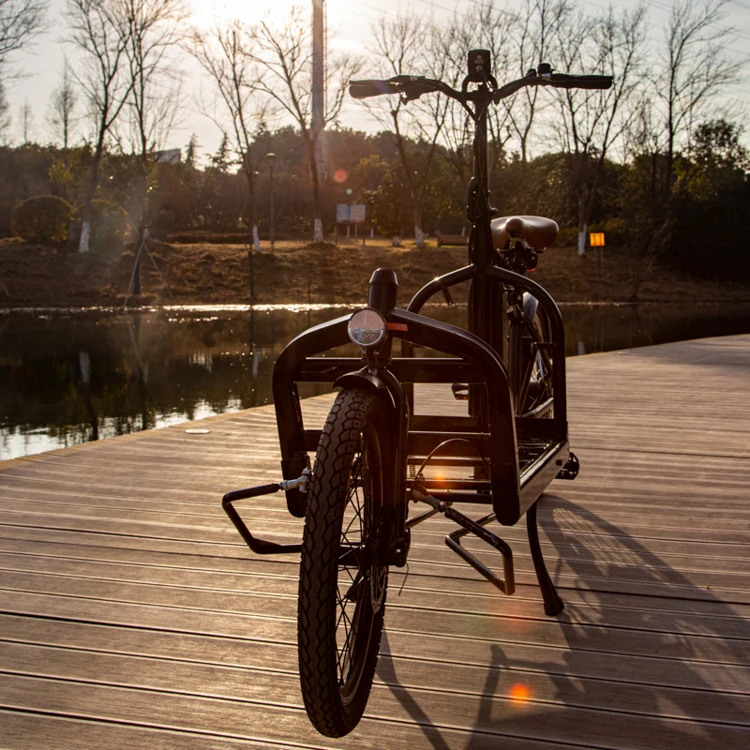 Electric Adult e-cargo bike steel frame Brushless Hub Motor Max prower 250W