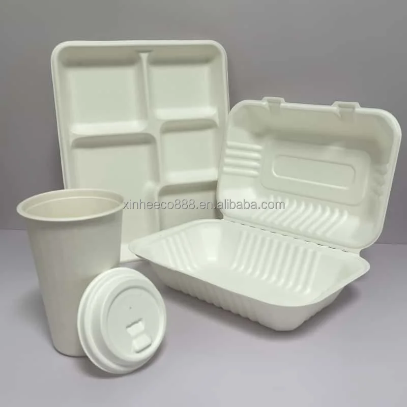 Best Price Eco Quality Sugarcane Bagasse 5 Compartment Compostable Tray Custom Safe Use-for Party Wedding Dinnerware Food Plate
