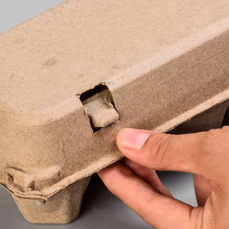biodegradable custom design fiber paper pulp molded 12 holes chicken eggs cartons trays