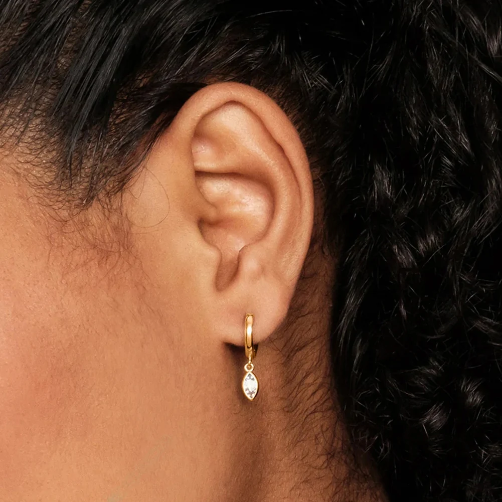 EQE52 Wholesale Jewelry S925 Silver Earrings With Zircon Charms High Quality 14K Gold Plated Drop for Women