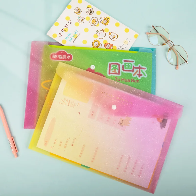 Custom Logo A4 Envelope File Document Folder Clear Document Envelope Organizer with  Button