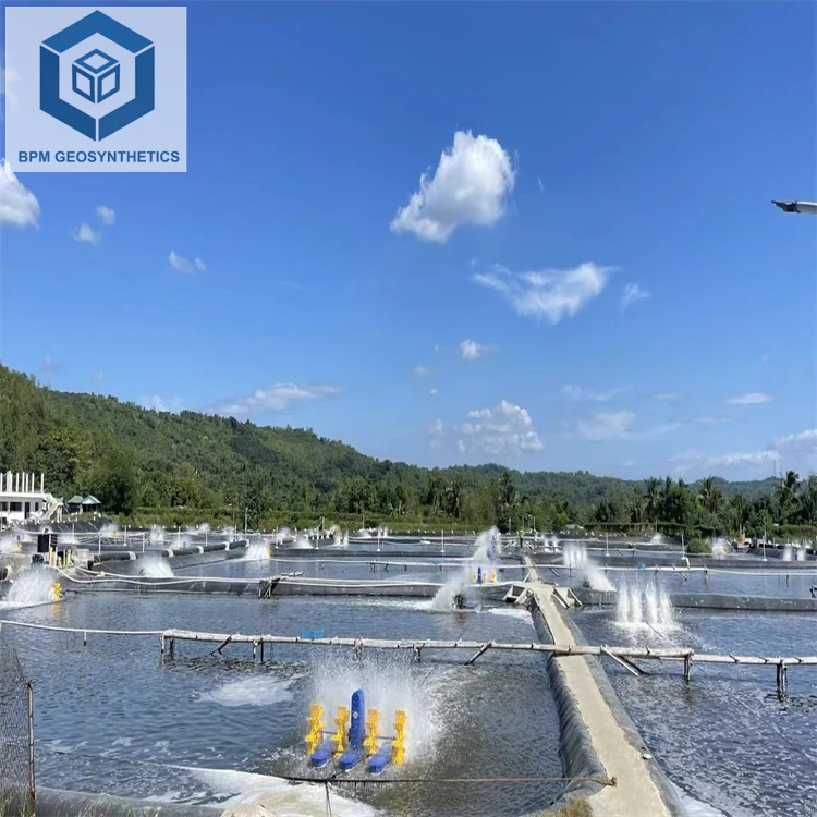 Huge Pond Liner1Mmgeomembrane Hdpe 1Mm for Aquaculture Shrimp in Ecuador