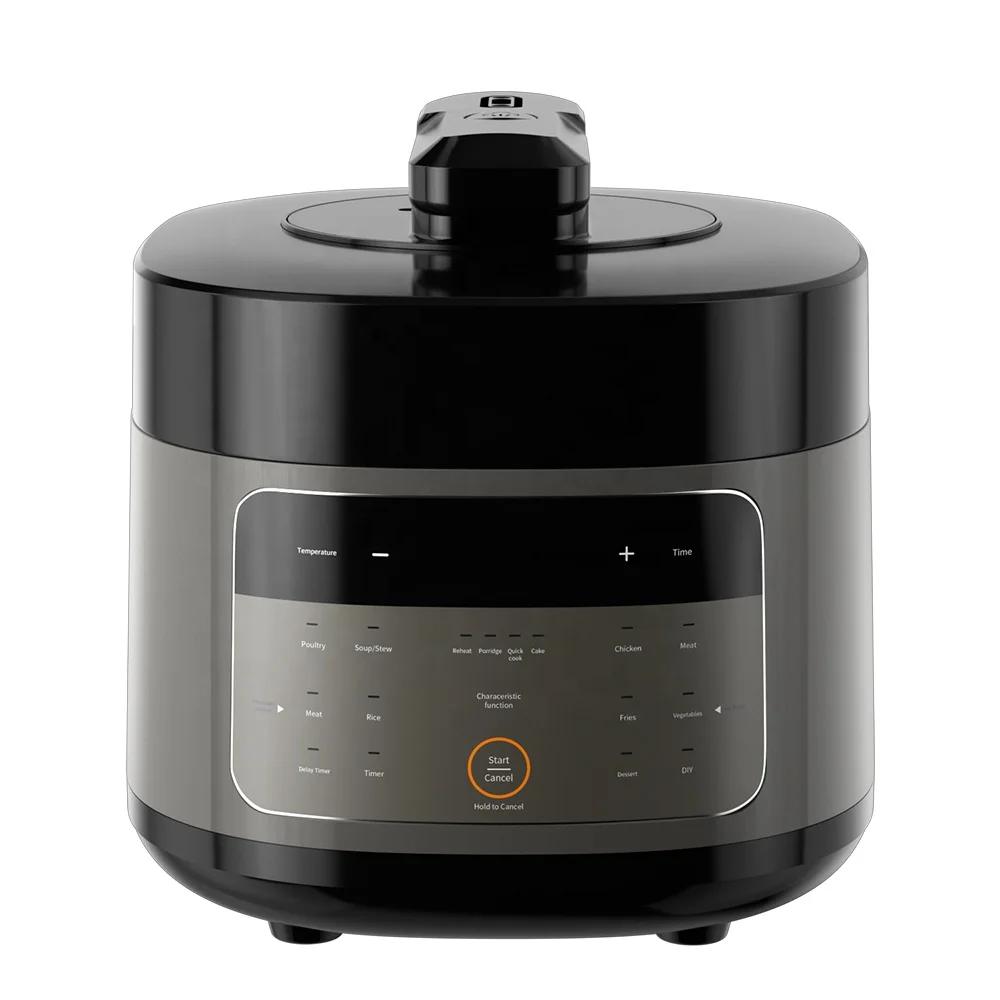 Two Lids Electric Multifunctional 2 in 1 Pressure Cooker Air Fryer