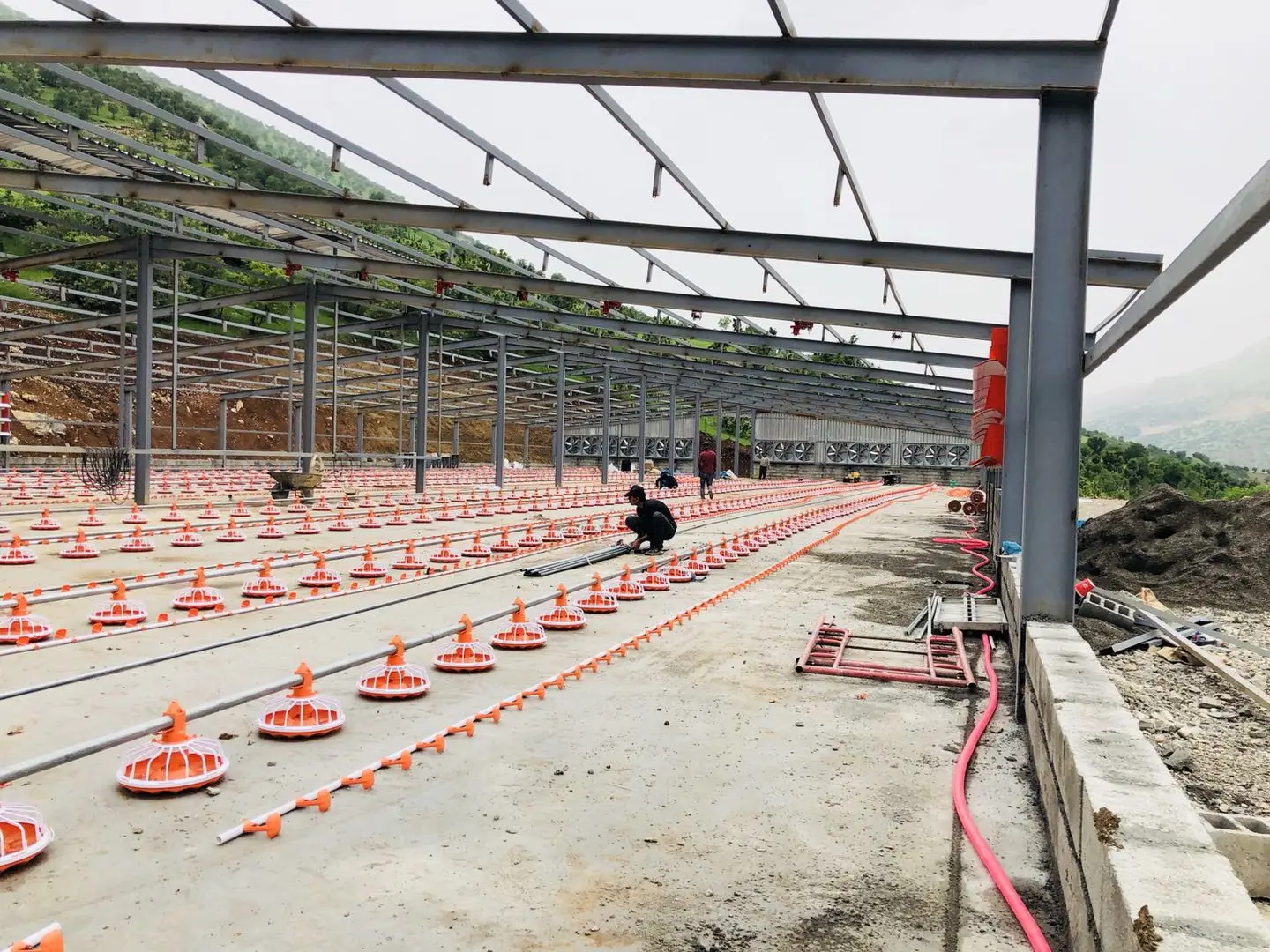 Customized Plan Nipple Drinking line Poultry Feeding Line Chicken house Breeding Equipment for Broiler chicken